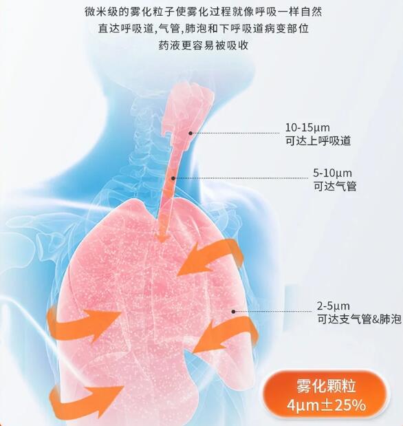 QQ截图20240305134226.jpg