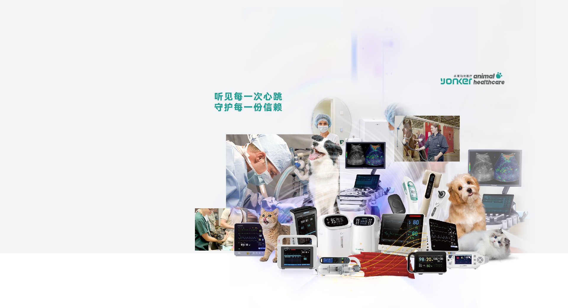 宠物产品堆图logo.jpg